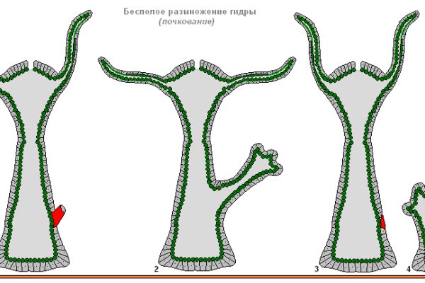 Покупки на кракене даркнет