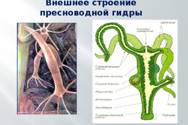 Дарк маркетплейс кракен