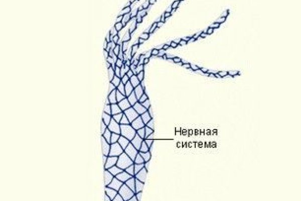 Kraken зеркала kr2web in